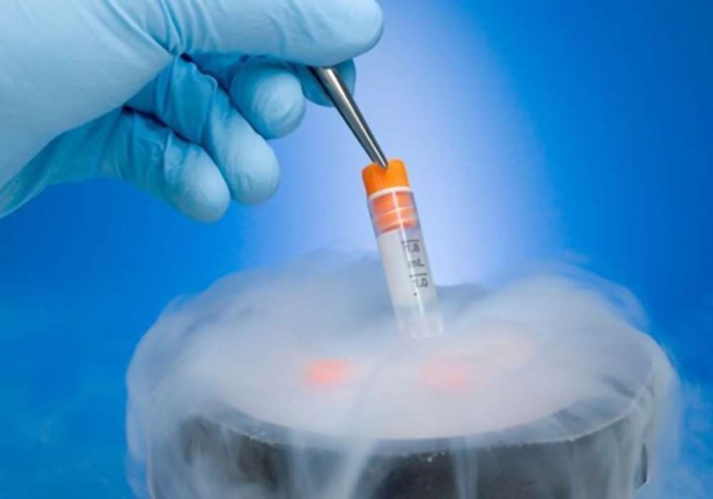 FET-Embryo Vitrification and Thawing